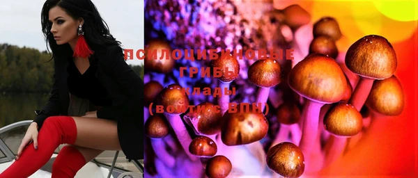 метамфетамин Богданович