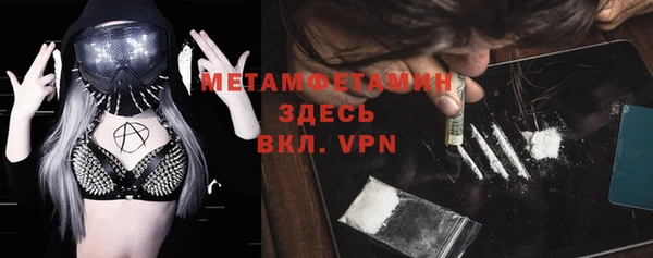 прущие грибы Белокуриха