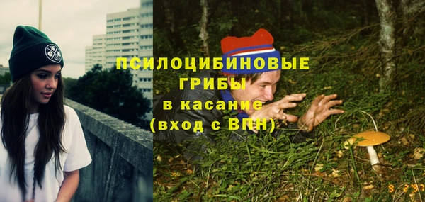 2c-b Беломорск