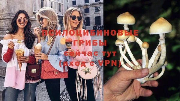 метамфетамин Богданович